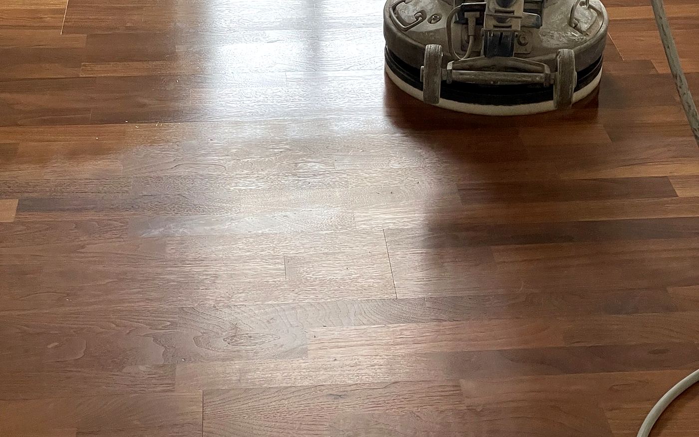 Einscheibenmaschine massiert Öl in einen Parkettboden ein